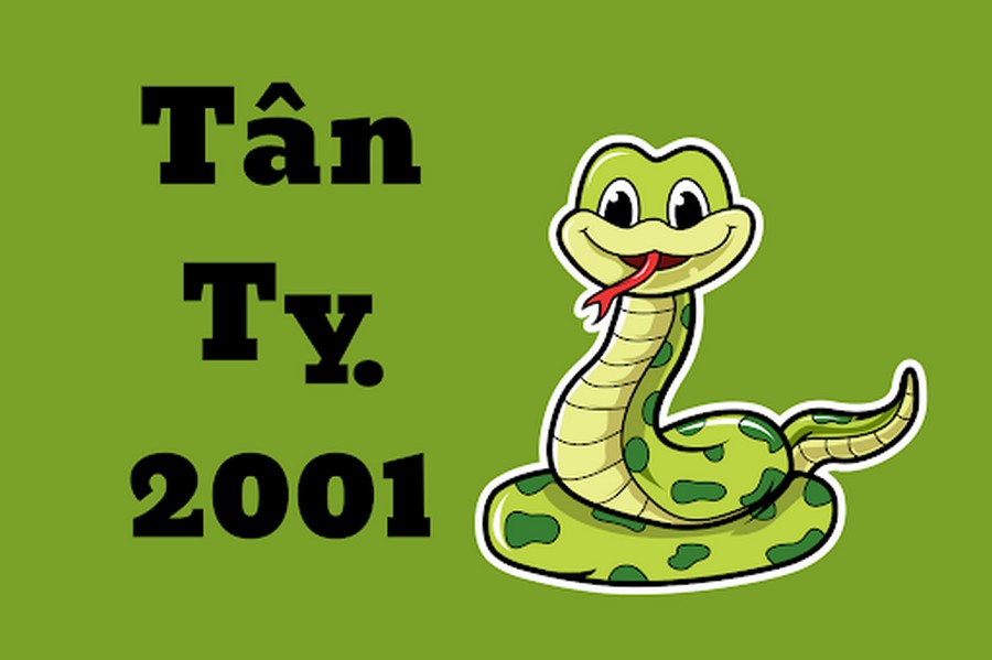 Tuổi Tân Tỵ là những người sinh năm 2001