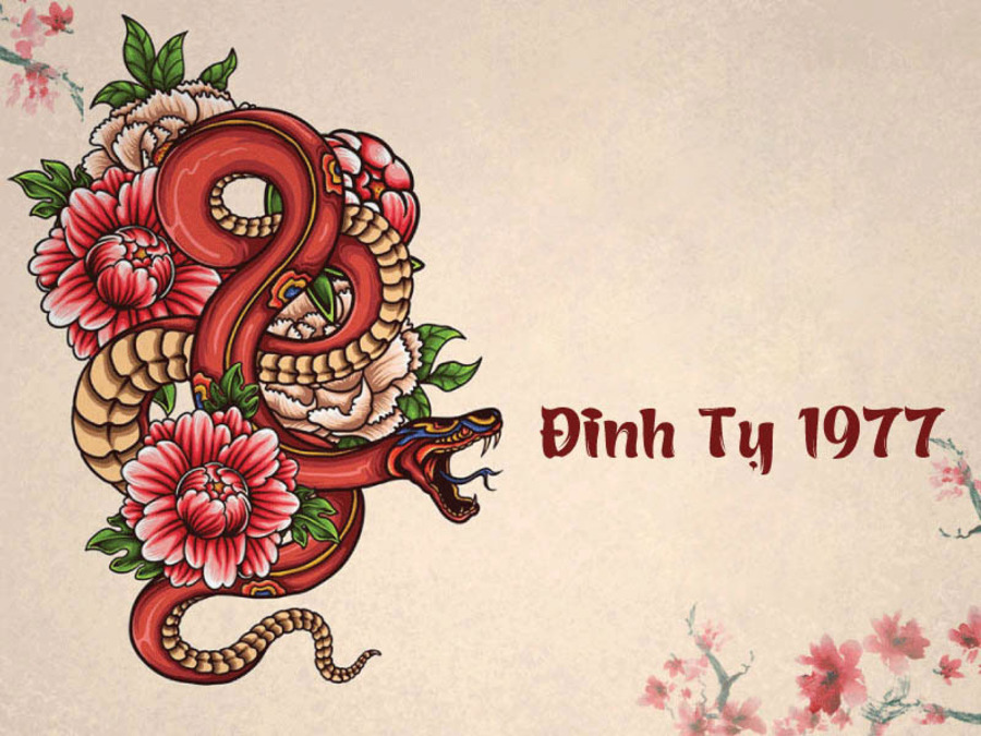 Người sinh năm 1977 là tuổi con Rắn