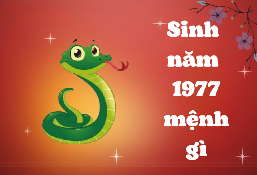 Sinh năm 1977 mệnh Mộc