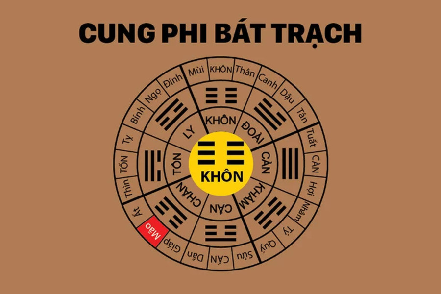 Dựa vào giới tính và Bát Trạch để xác định người sinh năm 1978 thuộc cung gì