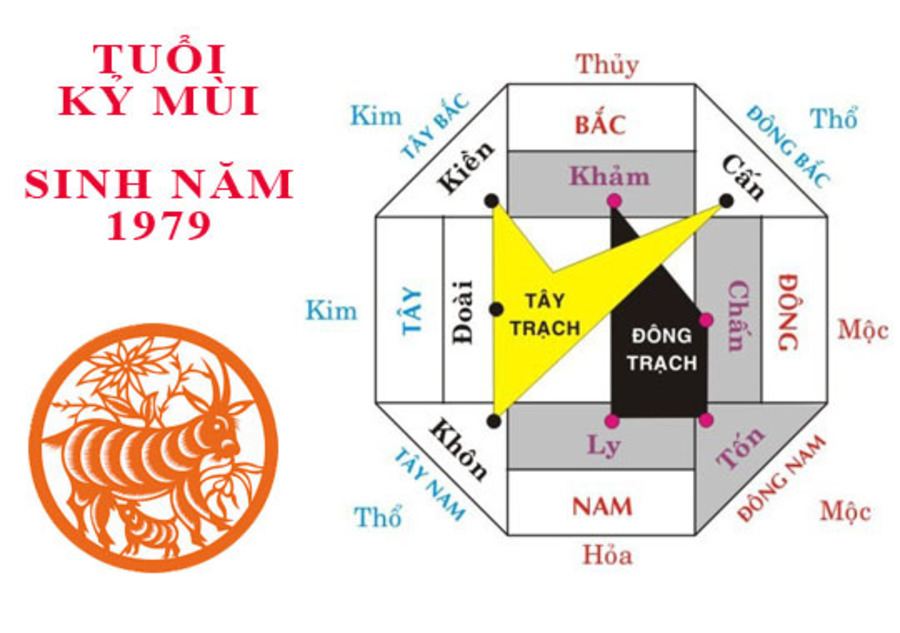 Tuổi Kỷ Múi hợp những hướng nào?