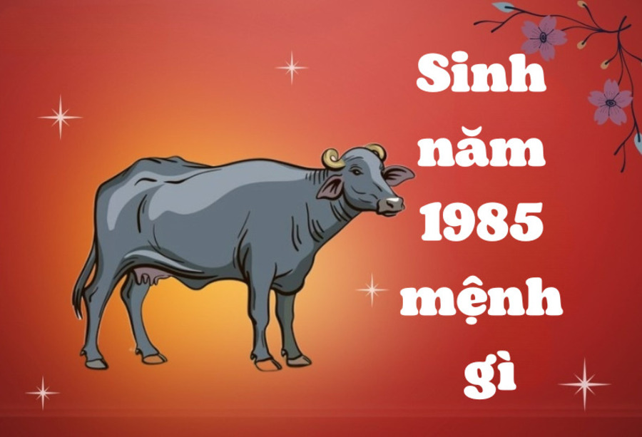 Sinh năm 1985 mệnh gì? Cung mệnh, màu sắc và phong thủy cho tuổi Ất Sửu