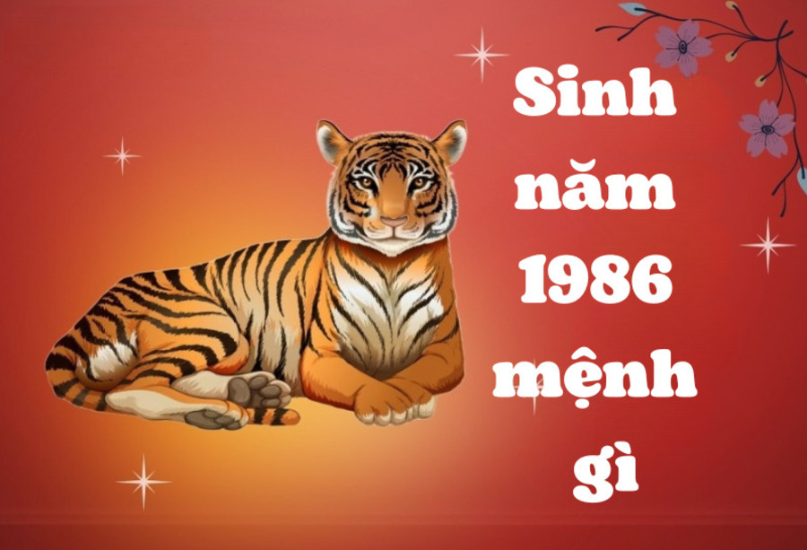 Sinh năm 1986 mang mệnh Hỏa