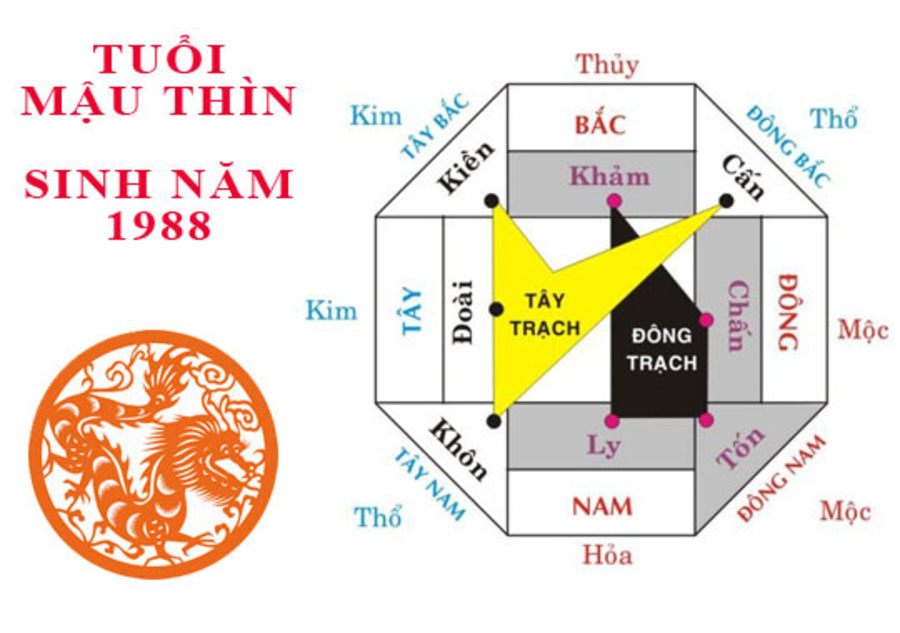 Hướng hợp - kỵ tuổi Mậu Thìn sinh năm 1988