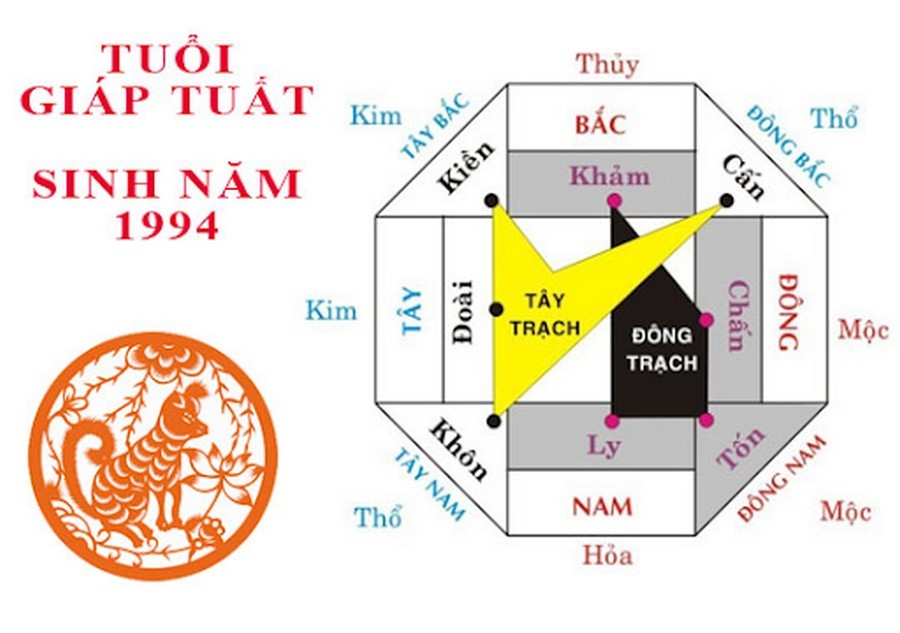 Tuổi Giáp Tuất 1994 hợp - kỵ những hướng nào?