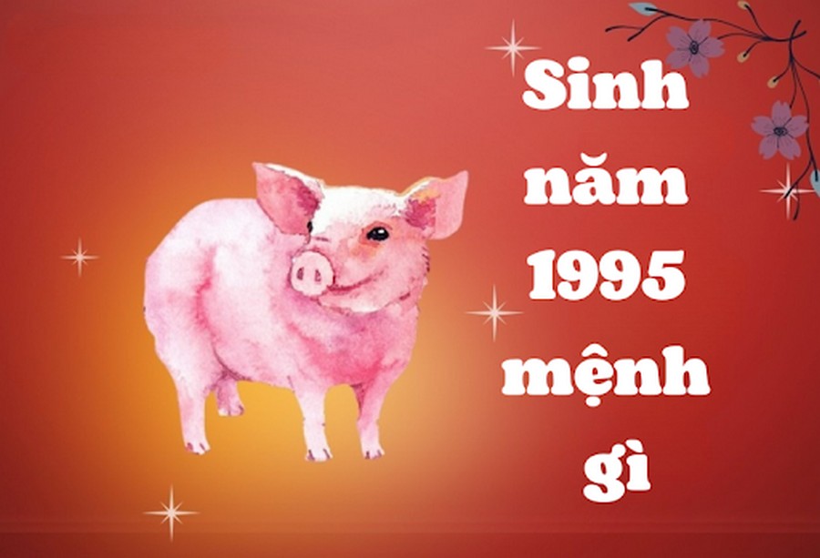 Sinh năm 1995 mệnh gì?