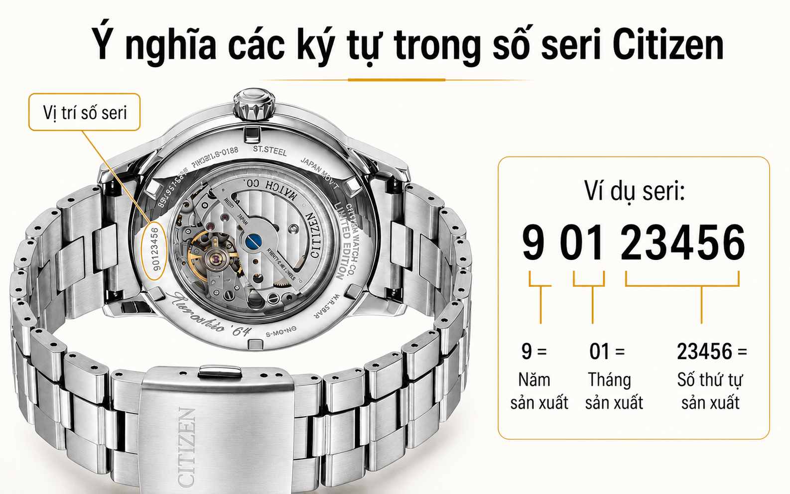 Ý nghĩa các ký tự trong số seri Citizen